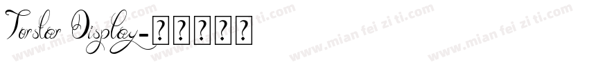 Torstar Display字体转换